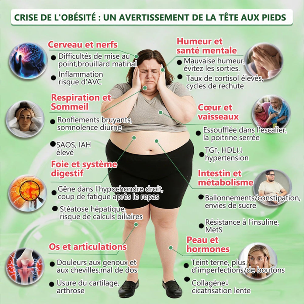 【DERNIER JOUR DE PROMO 80% DE RÉDUCTION】🩺Healrize® Moringa · Berbérine × NAD+ Patch 10-en-1 Avancé à Nano-microaiguilles 🔬 7 Patchs par Boîte · Approvisionnement pour 1 Semaine