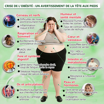 【DERNIER JOUR DE PROMO 80% DE RÉDUCTION】🩺Healrize® Moringa · Berbérine × NAD+ Patch 10-en-1 Avancé à Nano-microaiguilles 🔬 7 Patchs par Boîte · Approvisionnement pour 1 Semaine