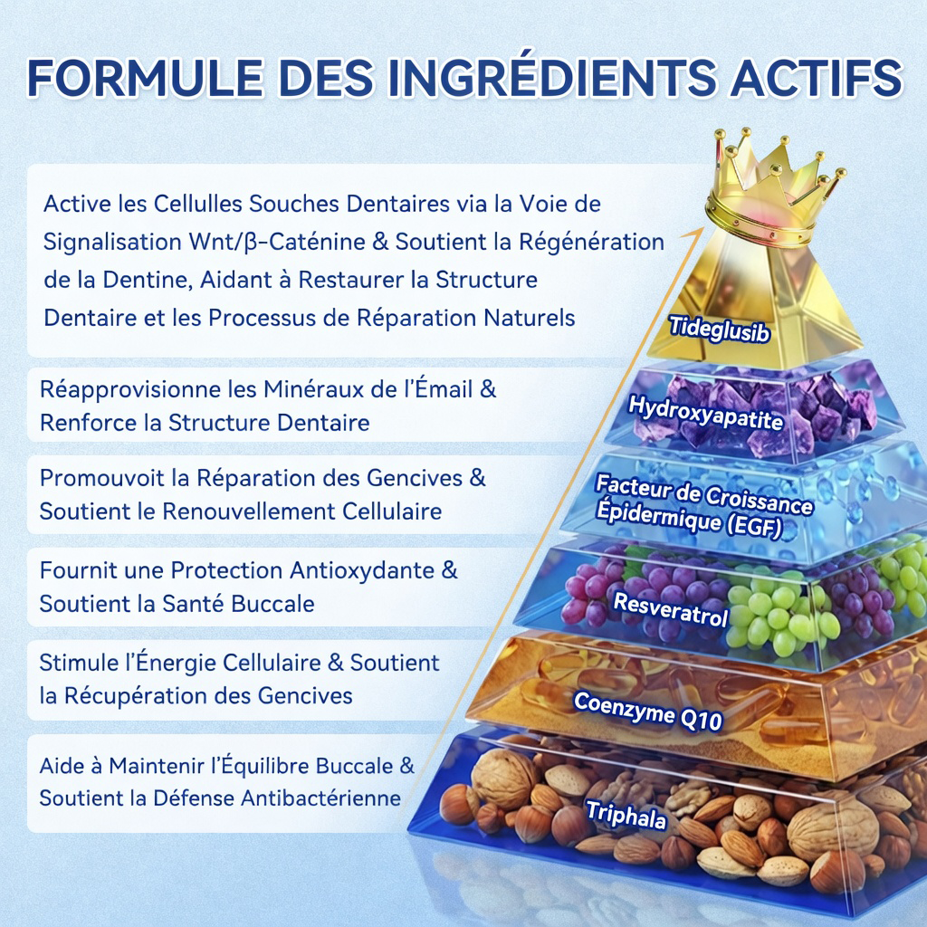 𝐆𝐚𝐫𝐚𝐠𝐞𝐋𝐢𝐧𝐞®®🇫🇷🦷 Bandes buccales Tideglusib à dissolution rapide pour la réparation des dents et des gencives 😁 (Favorise la réparation dentaire et aide à soulager l'inconfort des gencives ainsi que d'autres problèmes bucco-dentaires courants)